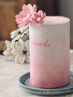 Gradience - 01- Custom Cake - ZA000025 - Picture3