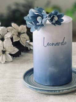 Gradience - 06- Custom Cake - ZA000030 - Picture3