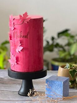 The Climber - 04- Custom Cake - ZA000022 - Pic3