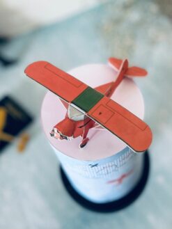 Sky High - 03- Custom Cake - ZA000035C - Picture2