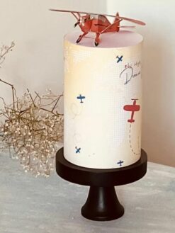 Sky High - 06- Custom Cake - ZA000035F - Picture2