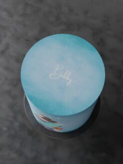 Sonshine-04- Custom Cake - ZA000045D - Picture2