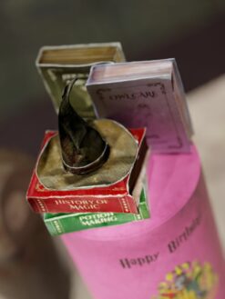 Wizarding World - 02- Custom Cake - ZA000050B-V3 - Picture2