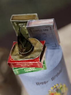 Wizarding World - 04- Custom Cake - ZA000050D-V3 - Picture2