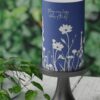 Cyanotype-01-Custom-Cake-ZA000075A-Picture1.jpg
