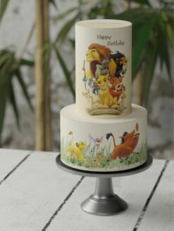 Tiny-Tots-08-Custom-Cake-ZB000086H-Picture1