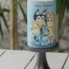 Tiny-Tots-19-Custom-Cake-ZC000086C-Picture1