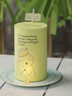 Make-a-Wish-12-Custom-Cake-ZA000096L-Picture1