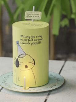 Make-a-Wish-13-Custom-Cake-ZA000096M-Picture1