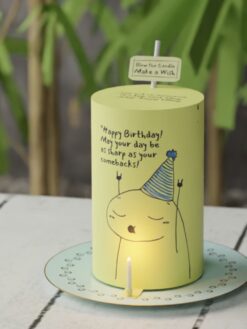 Make-a-Wish-5-Custom-Cake-ZA000096E-Picture1
