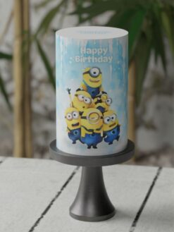 Tiny-Tots-22-Custom-Cake-ZC000086F-picture-1