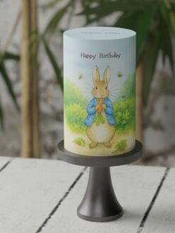 Tiny-Tots-24-Custom-Cake-ZC000086H-Picture1