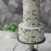 ZA000038K.Canvas Bloom. Celebration Cakes.2tier0000.front