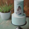 ZA000068M.Mothers Day. Celebration Cakes.2tier0000.front