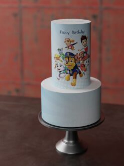 Tiny Tots - Celebration Cakes for Kids Party