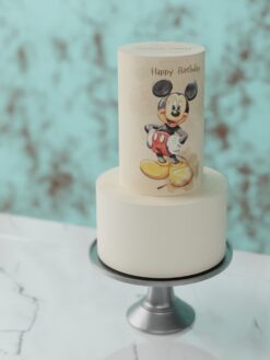 Tiny Tots - Celebration Cakes for Kids Party
