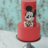 Tiny Tots - Celebration Cakes for Kids Party