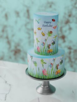 Tiny Tots - Celebration Cakes for Kids Party