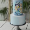 Tiny Tots - Celebration Cakes for Kids Party