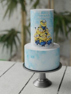 Tiny Tots - Celebration Cakes for Kids Party