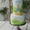 Tiny Tots - Celebration Cakes for Kids Party