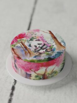 ZAF00080B.Flat.Oh baby.Celebration Cakes.Flat0000.front
