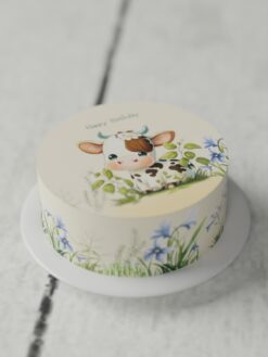 ZAF00080K.Flat.Oh baby.Celebration Cakes.Flat0000.front