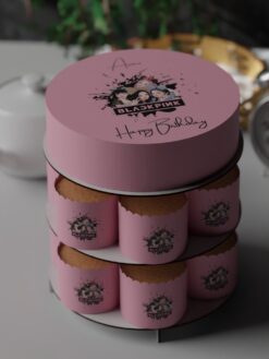 ZAG00055B.celebration.cake.and.cupcake.Blink.series0000.front