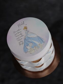 ZAG00057G.celebration.cake.and.cupcake.Fairy Tale.series0000.top