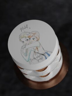 ZAG00057I.celebration.cake.and.cupcake.Fairy Tale.series0000.top