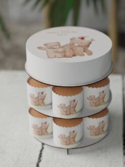 ZAG00080E.celebration.cake.and.cupcake.Oh Baby.series.0000.front