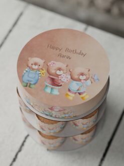 ZAG00080F.celebration.cake.and.cupcake.Oh Baby.series.0000.top