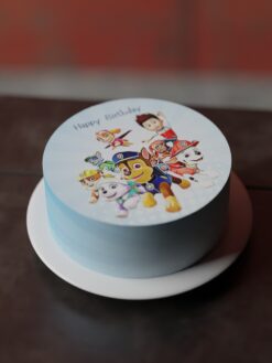 ZBF00086G.Flat.Tiny tots.Celebration Cakes.Flat0000.front