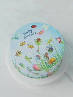 ZBF00086R.Flat.Tiny tots.Celebration Cakes.Flat0000.top