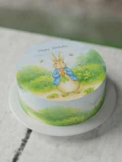 ZBF00086X.Flat.Tiny tots.Celebration Cakes.Flat0000.front