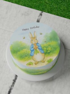 ZBF00086X.Flat.Tiny tots.Celebration Cakes.Flat0000.top