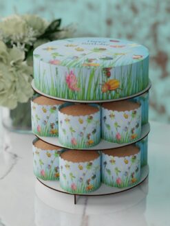 ZCG00086B.celebration.cake.and.cupcake.Tiny tots.series.0000.front