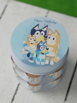 ZCG00086C.celebration.cake.and.cupcake.Tiny tots.series.0000.top