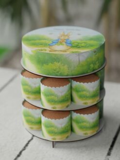 ZCG00086H.celebration.cake.and.cupcake.Tiny tots.series.0000.front