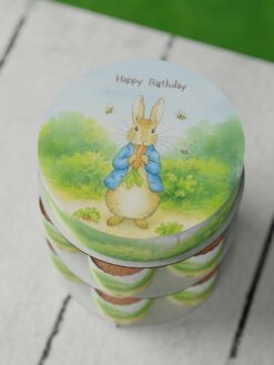 ZCG00086H.celebration.cake.and.cupcake.Tiny tots.series.0000.top