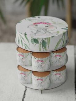 ZAG00080C.celebration.cake.and.cupcake.Oh Baby.series.0000.front-V1