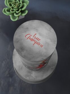 ZAT00073B.celebration.cake.2tier.Dribble.series0000.top