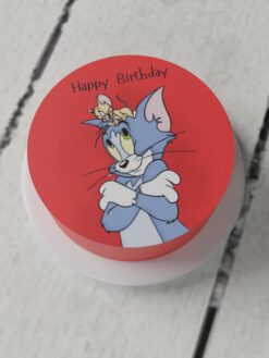 ZCF00086P.celebration.Flat.cake.Tiny Tots.series0000.top