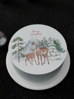 ZAF00058F.celebration.Flat.cake.Christmas.series.celebration.Flat.cake.Christmas.series0000.top
