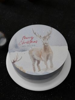 ZAF00058G.celebration.Flat.cake.Christmas.series.celebration.Flat.cake.Christmas.series0000.top.V3