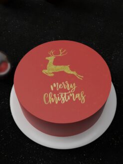 ZAF00058L.celebration.Flat.cake.Christmas.series.celebration.Flat.cake.Christmas.series0000.top.V2