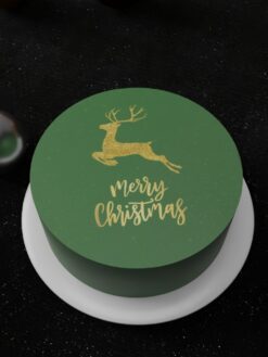 ZAF00058M.celebration.Flat.cake.Christmas.series.celebration.Flat.cake.Christmas.series0000.top