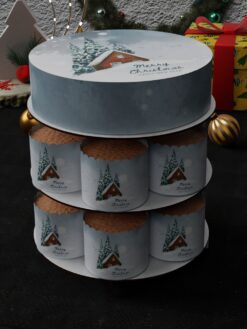 ZAG00058C.celebration.cake.cupcake.Christmas.series0000.front