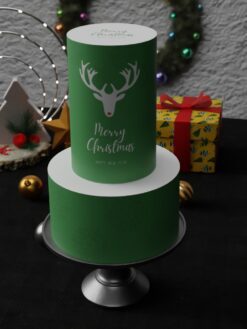 ZAT00058E.celebration.Tier.cake.Christmas.series0000.front