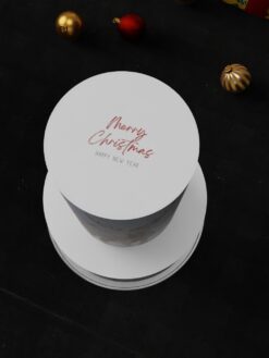 ZAT00058G.celebration.Tier.cake.Christmas.series0000.top